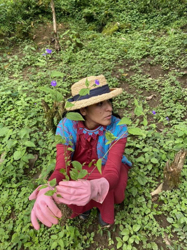 Pessoa sentada no meio de uma horta. Usa chapéu de palha, luvas rosas e tem um ramo na mão. Não olha para a foto, mas sim para a esquerda. Usa calças e camisa rosa com detalhes azuis