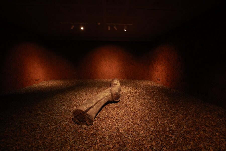 Museu das Culturas Indígenas: YGAPÓ: TERRA FIRME 